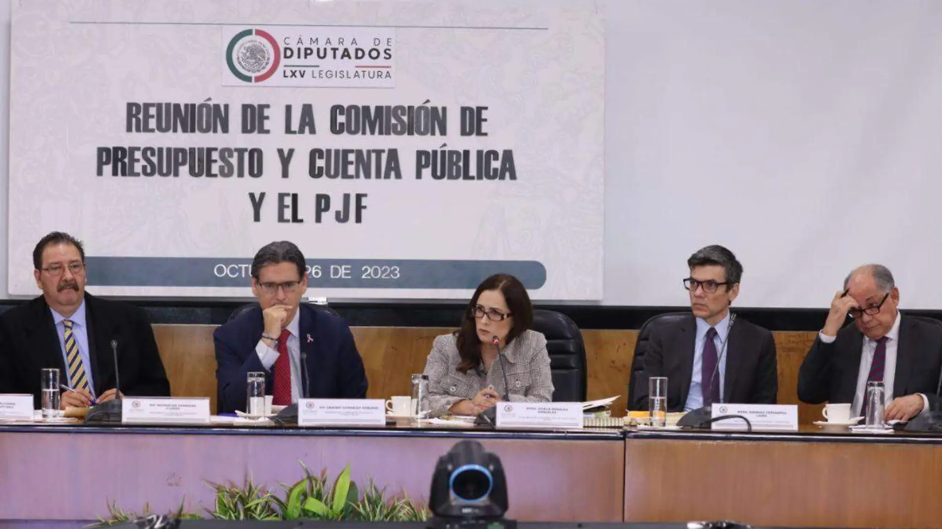 Comisión de Presupuesto y Cuenta Pública de la Cámara de Diputados